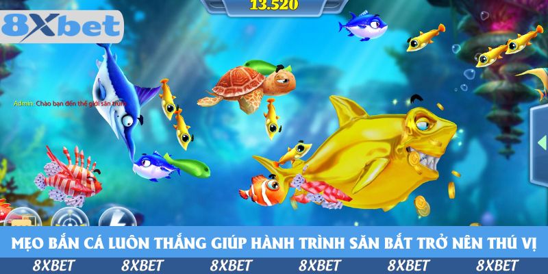 Mẹo bắn cá luôn thắng giúp hành trình săn bắt trở nên thú vị
