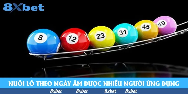 Nuôi lô theo ngày âm được nhiều người ứng dụng