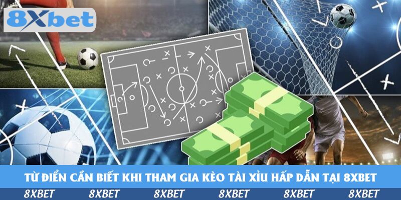 Từ điển cần biết khi tham gia kèo Tài Xỉu hấp dẫn tại 8xbet